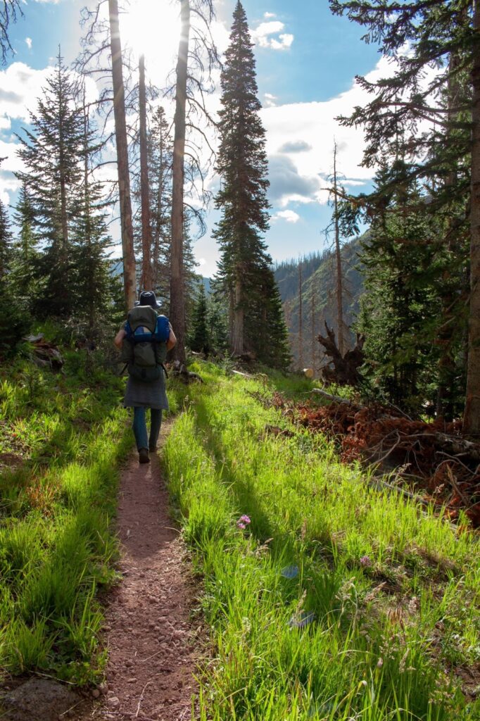 Alderfer/Three Sisters Park's Alderfer Trail 