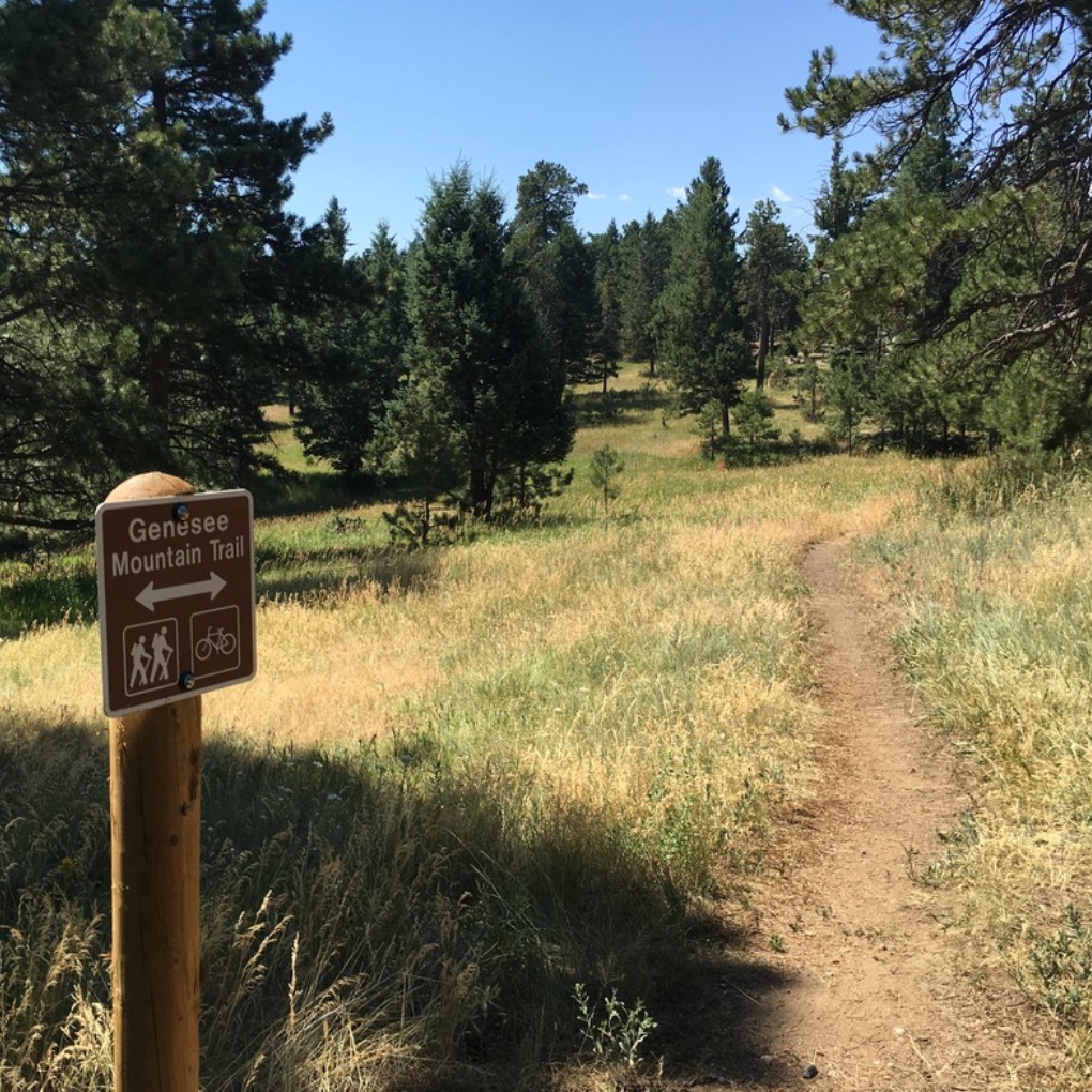 Genesee Mountain Park's Panorama Trail 