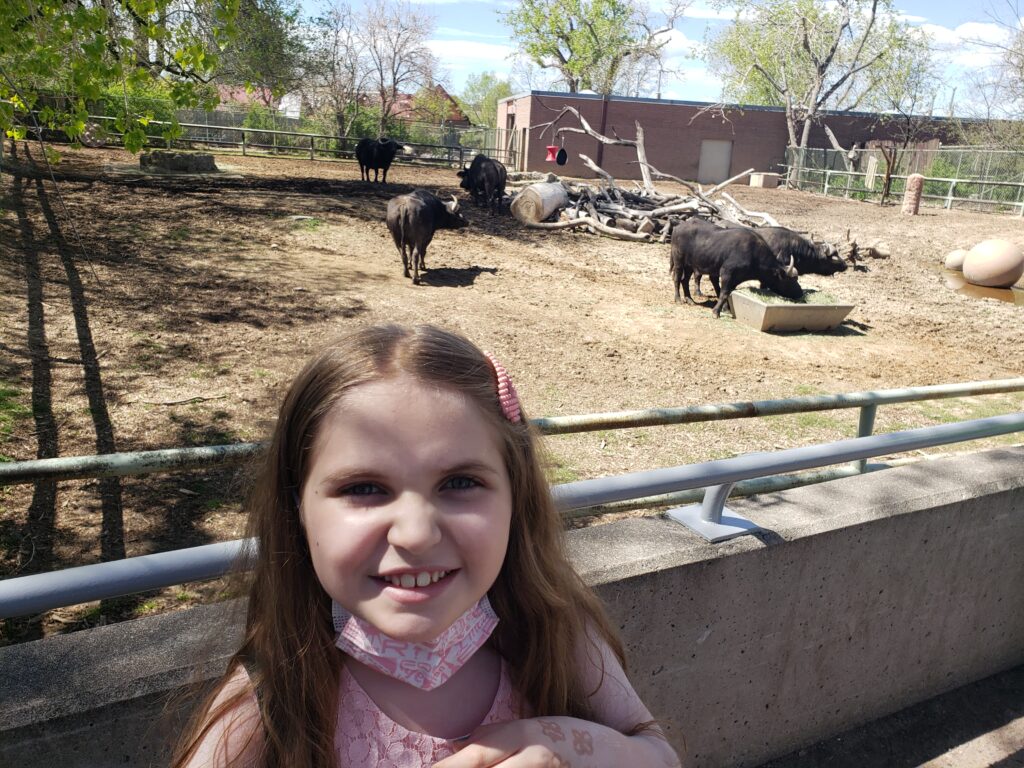 Denver Zoo